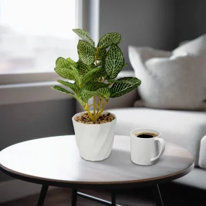 Műnövény dekoráció - fittonia - 20 x 9 cm Vog und Arths 11890A