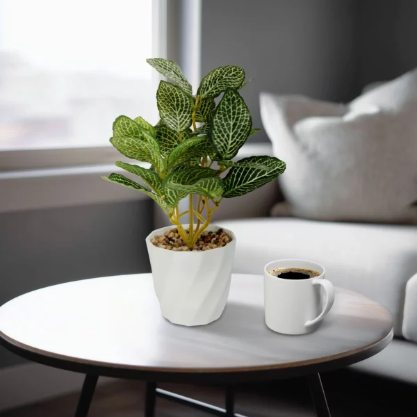 Műnövény dekoráció - fittonia - 20 x 9 cm Vog und Arths 11890A