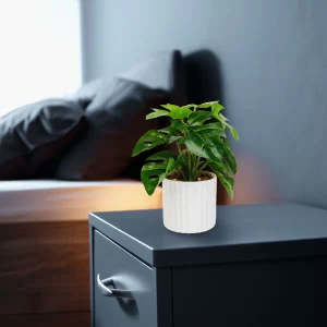 Műnövény dekoráció - filodendron - zöld - 20 x 8 cm Vog und Arths 11892A