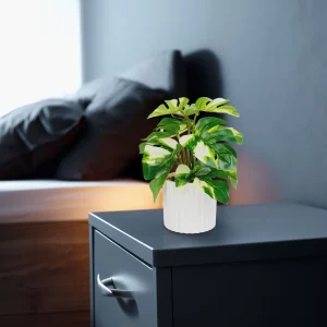 Műnövény dekoráció - filodendron - zöld/sárga - 20 x 8 cm Vog und Arths 11892B