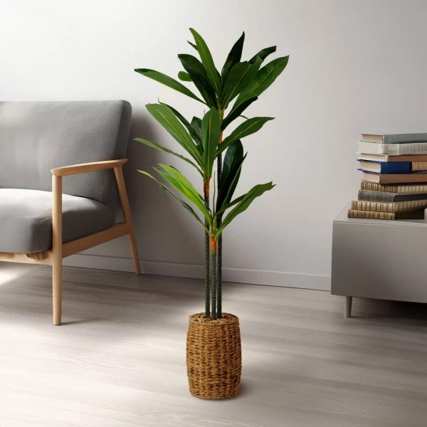 Műnövény dekoráció - Dracaena Fragrans - 1,1-1,2 m Vog und Arths 11906