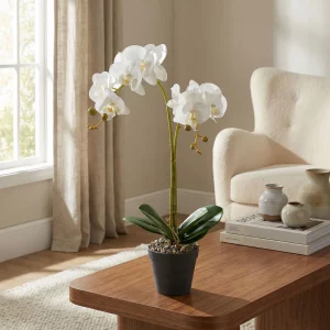 Műnövény dekoráció - orchidea - 2 féle - 54 cm 11918