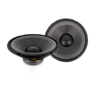 Hangszóró - HSP 005 - 12" / 300 mm • 150 / 300 W Carguard 30756