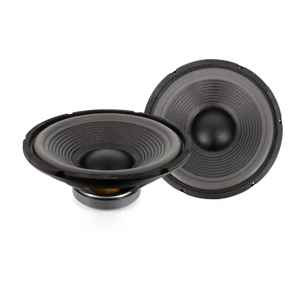 Hangszóró - HSP 005 - 12" / 300 mm • 150 / 300 W Carguard 30756