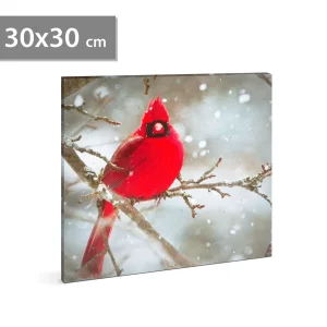 LED-es fali kép - vörös pinty - 30 x 30 cm Family 58478