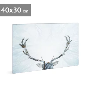 LED-es fali hangulatkép - rénszarvas - 2 x AA, 40 x 30 cm Family 58481A