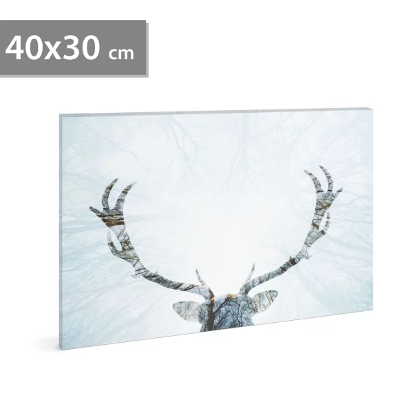 LED-es fali hangulatkép - rénszarvas - 2 x AA, 40 x 30 cm Family 58481A
