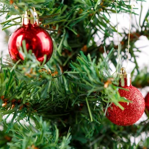 Karácsonyfadísz szett - 3 féle piros - 17 db / szett Family 58777B