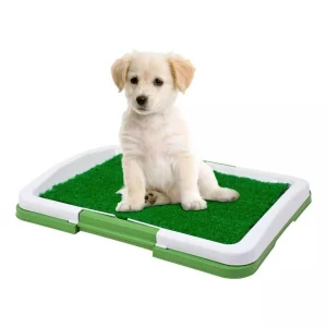 Kutya WC - 47 x 34 x 6 cm - 1 L Yummie 60016